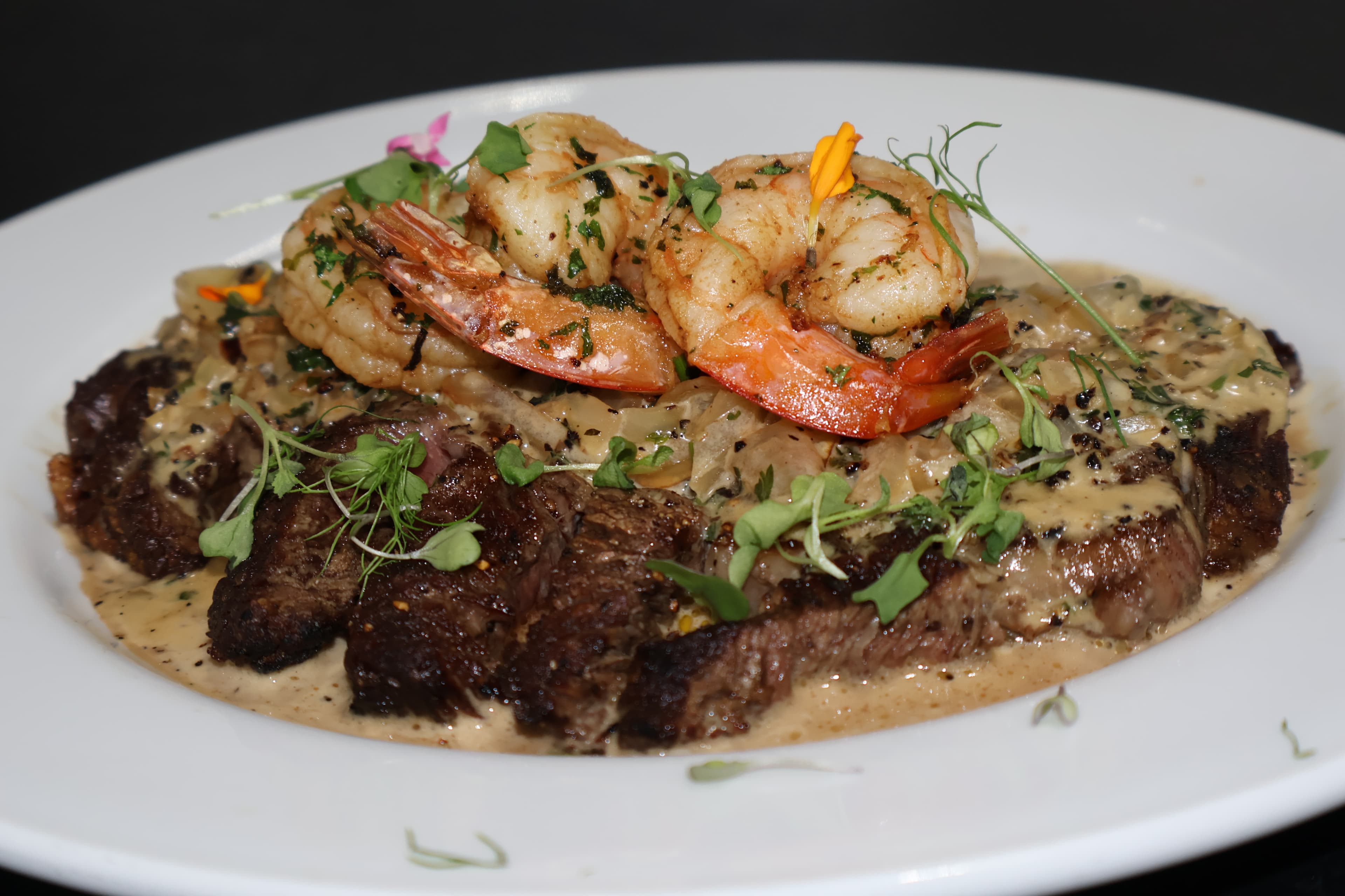 Latin Grill Tampa — photo 23